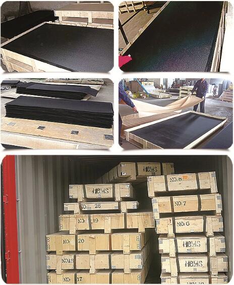 High Grade Security Screen Mesh for Door Protection